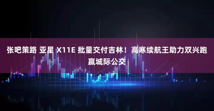 张吧策路 亚星 X11E 批量交付吉林！高寒续航王助力双兴跑赢城际公交