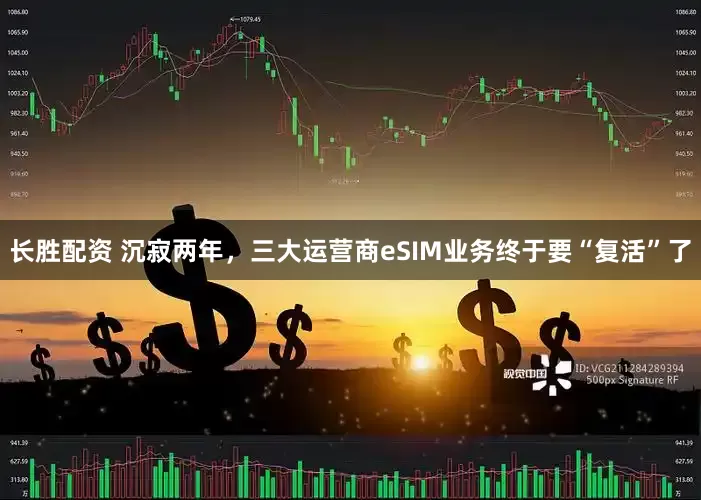 长胜配资 沉寂两年，三大运营商eSIM业务终于要“复活”了