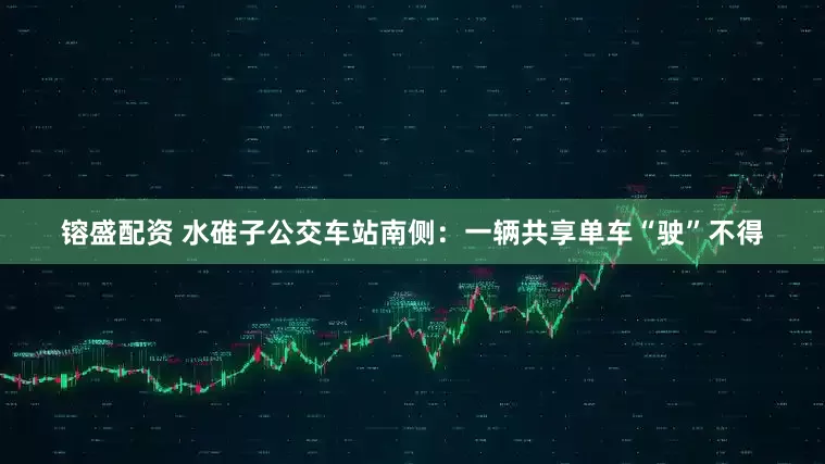 镕盛配资 水碓子公交车站南侧：一辆共享单车“驶”不得