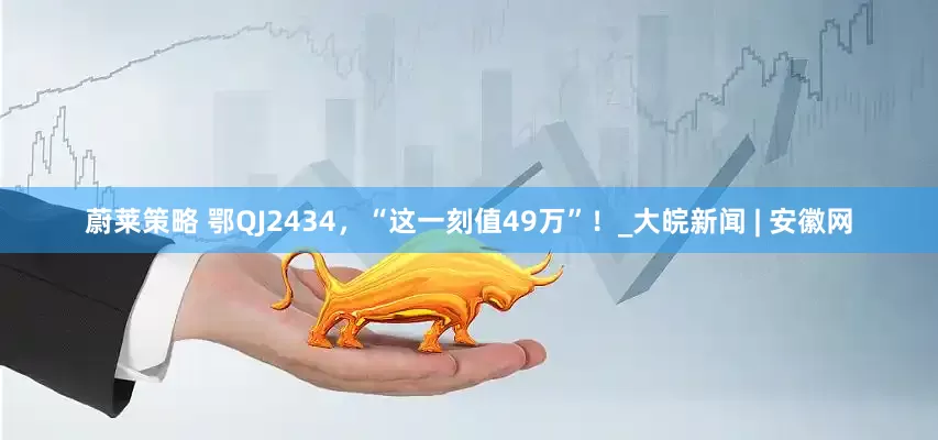 蔚莱策略 鄂QJ2434，“这一刻值49万”！_大皖新闻 | 安徽网