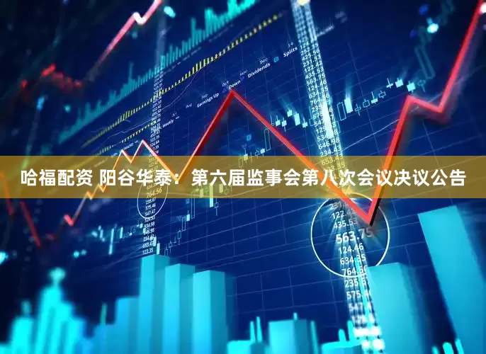 哈福配资 阳谷华泰：第六届监事会第八次会议决议公告
