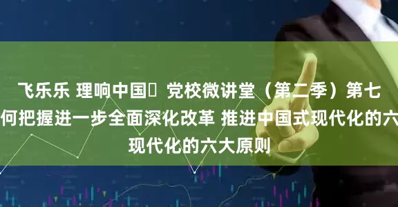 飞乐乐 理响中国・党校微讲堂（第二季）第七讲：如何把握进一步全面深化改革 推进中国式现代化的六大原则