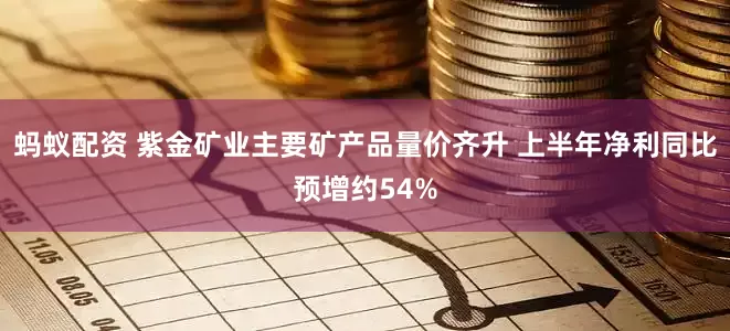 蚂蚁配资 紫金矿业主要矿产品量价齐升 上半年净利同比预增约54%