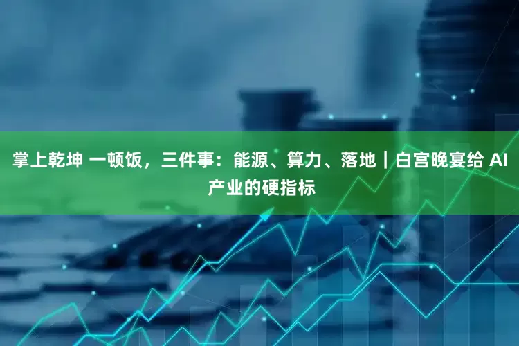 掌上乾坤 一顿饭，三件事：能源、算力、落地｜白宫晚宴给 AI 产业的硬指标