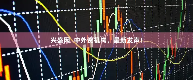 兴盛网 中外资机构,最新发声!