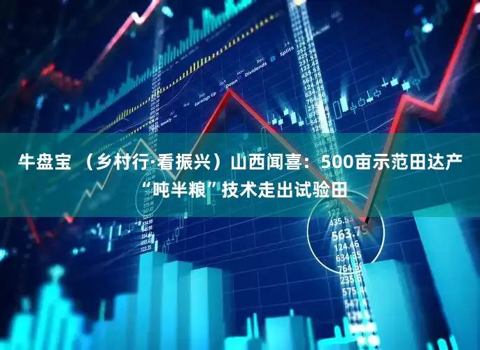 牛盘宝 （乡村行·看振兴）山西闻喜：500亩示范田达产 “吨半粮”技术走出试验田