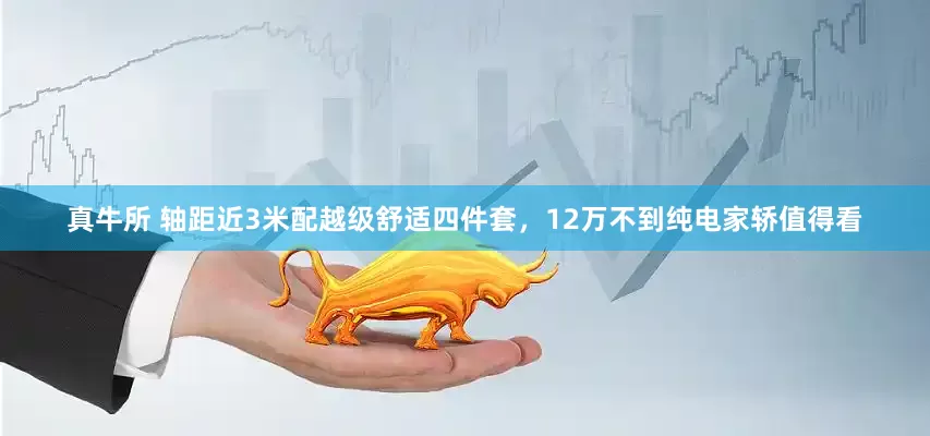 真牛所 轴距近3米配越级舒适四件套，12万不到纯电家轿值得看