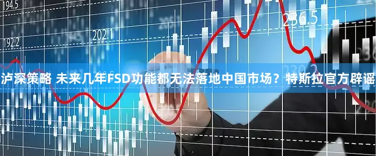 泸深策略 未来几年FSD功能都无法落地中国市场？特斯拉官方辟谣