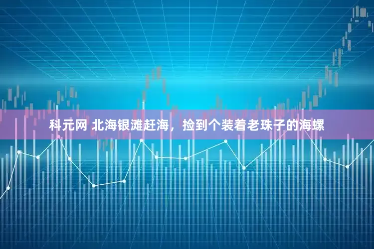 科元网 北海银滩赶海，捡到个装着老珠子的海螺